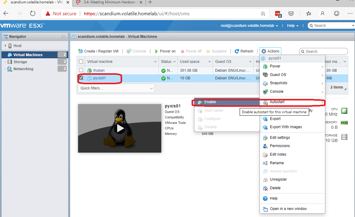 Screenshot: VMWare autostart